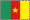 flag of cameroon